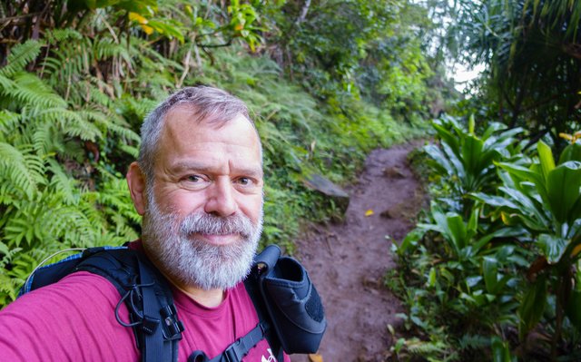 Hiking to the falls, Kalalau trail