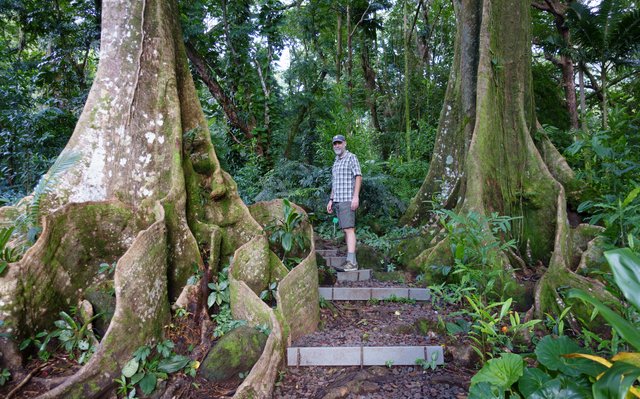 Chris and the buttress tree