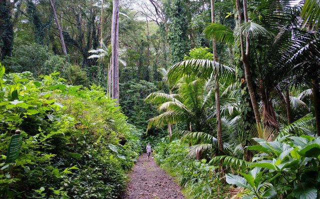 Walking to the waterfall