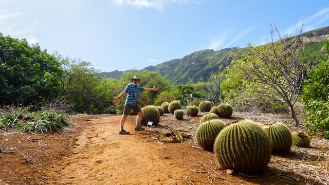 Barrel Cactus!