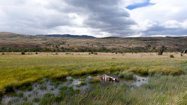 Circuit O Day 1: Torres to Dickson, Torres del Paine National Park