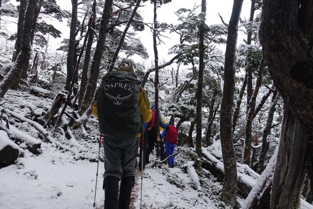 Up through the dry snow