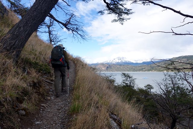 Hiking above Lago Grey