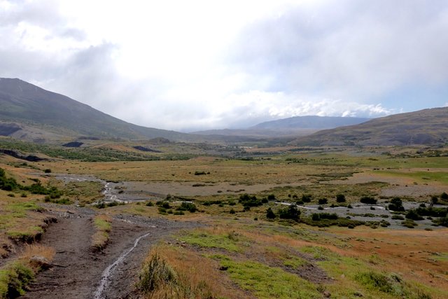 Wet and misty landscape