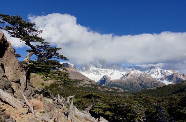 Fitz Roy range and wild