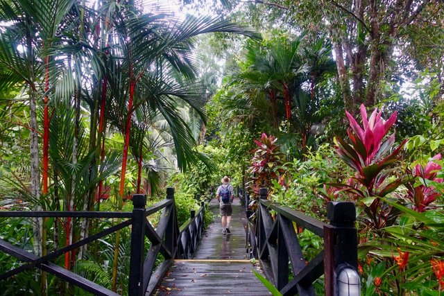 Sepilok Resort gardens