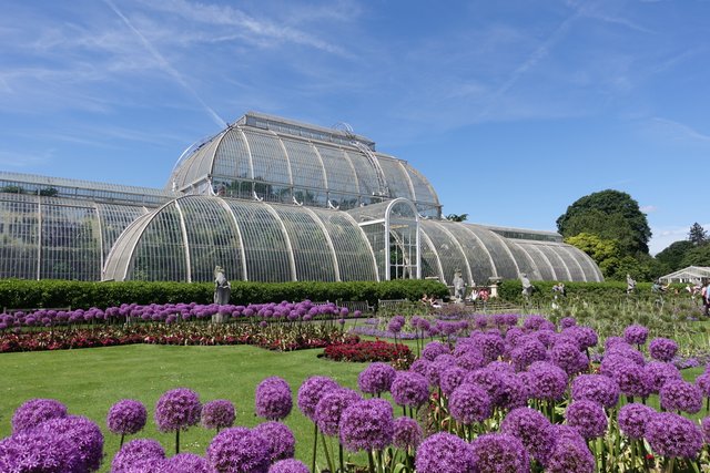 Palm House, Kew Gardens