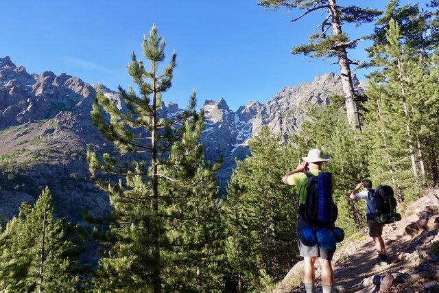 Looking up at the pretty mountains