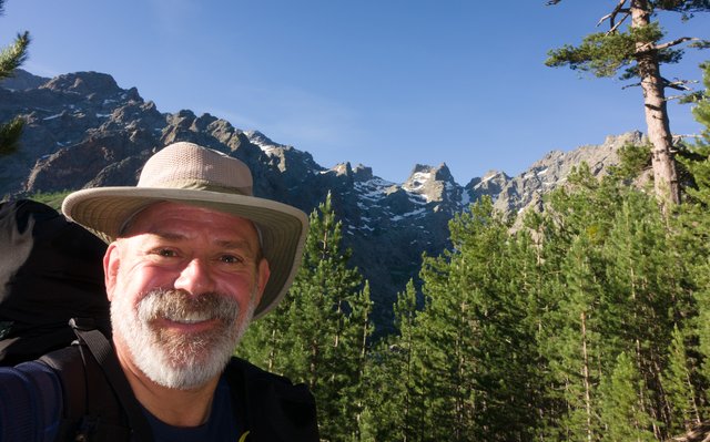 Marmot in habitat