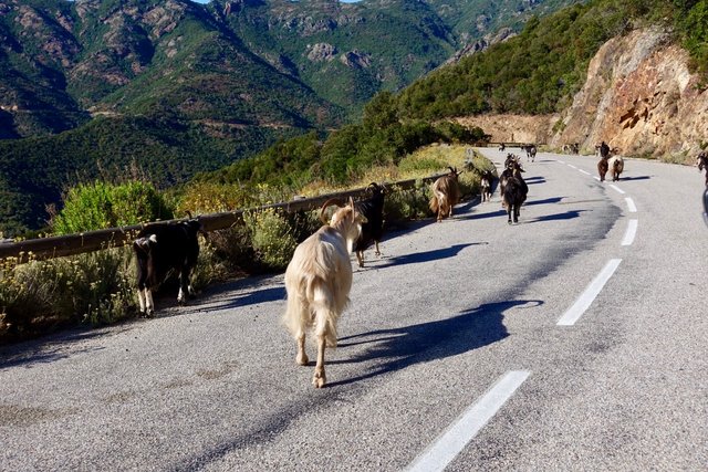 Road hazards