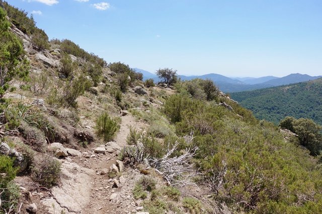 Hot trail through dusty maquis scrub