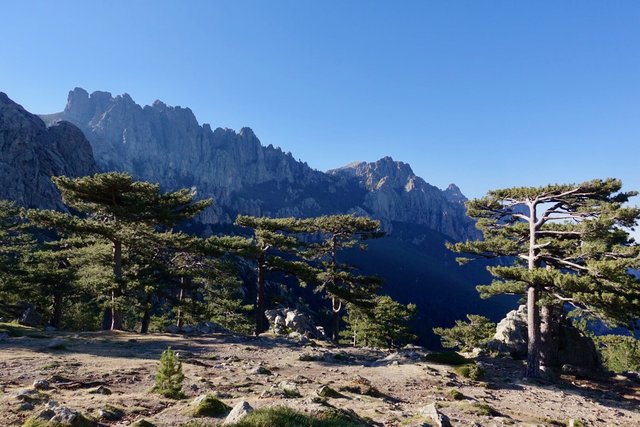 View of the Aiguilles de Bavella