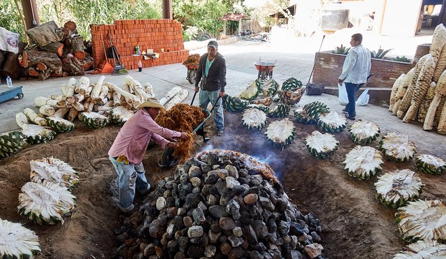 Preparing the roast