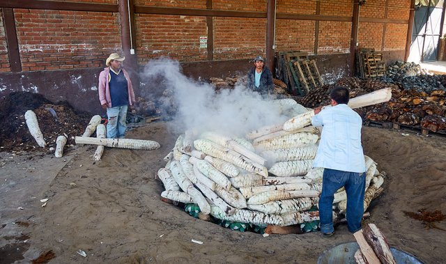 Throwing more agave on the roast