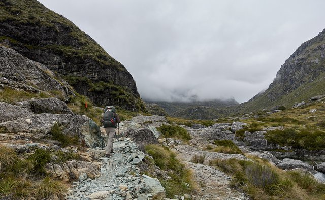 Up into the clouds