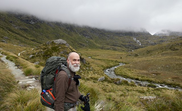 Above bushline