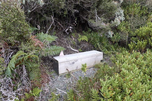 Stoat trap