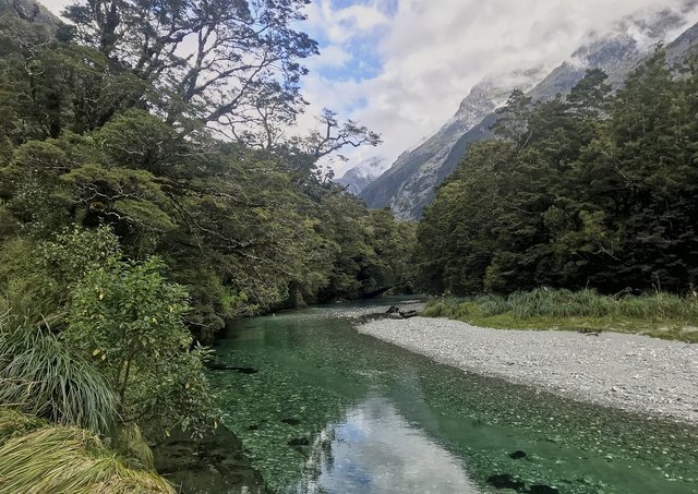 Green waters