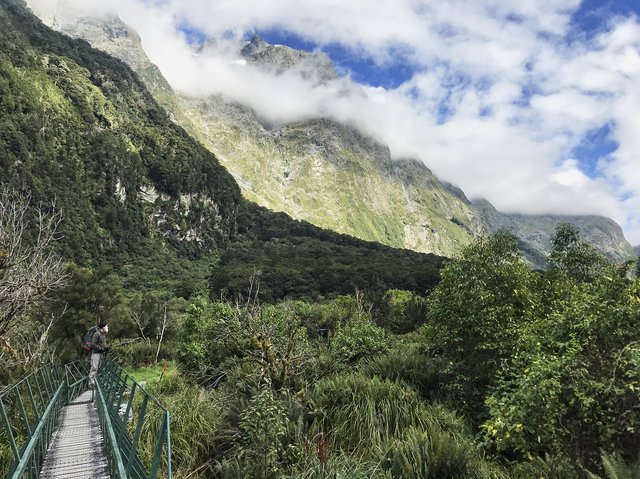 More bush, mountains