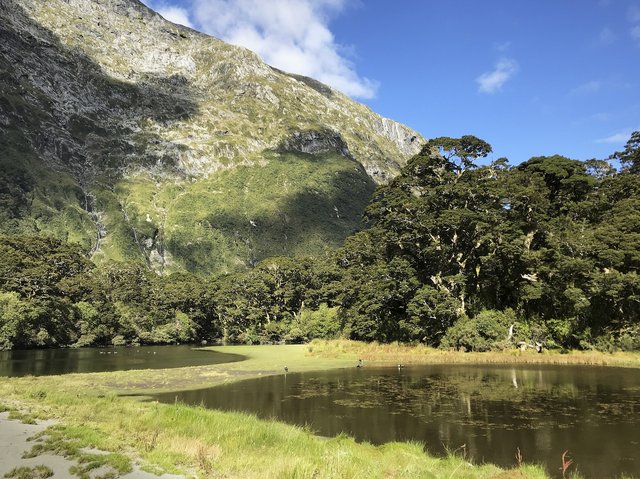 Mintaro Lake