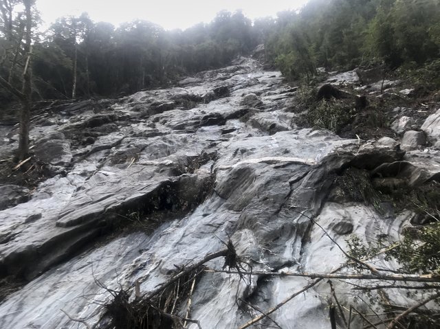 Avalanche chute