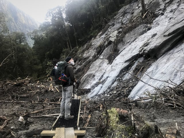 Recent tree avalanche