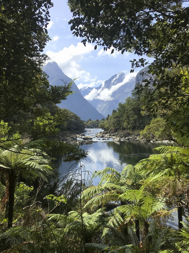 Nearing Sandfly Point