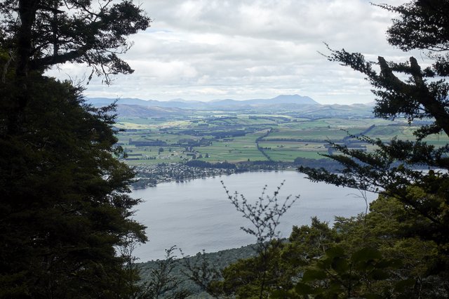 View of Te Anau