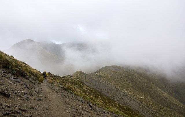 Along the ridge