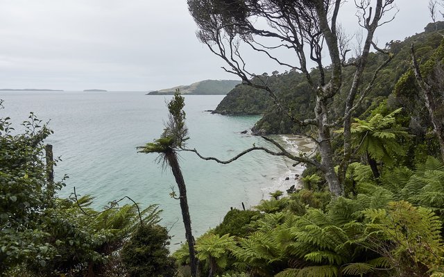 Coastal view