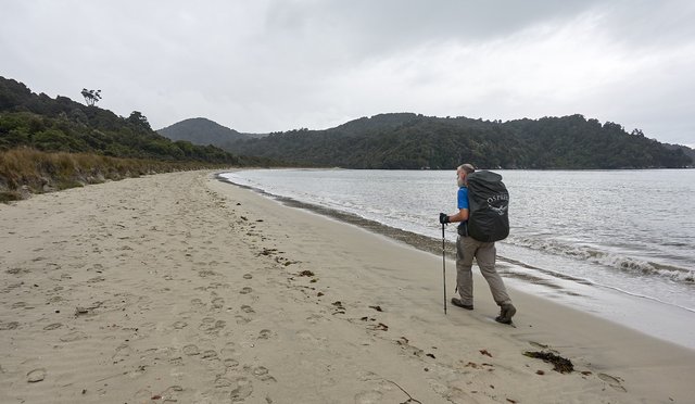 Along the beach