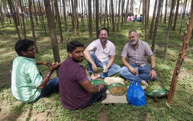 Enjoying a picnic in the trees