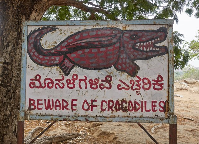 Beware of crocodiles