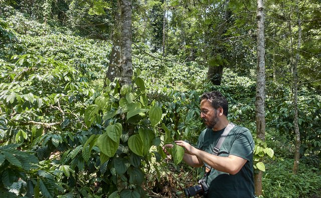 Julian checks out the pepper vine