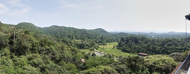 Dining terrace view