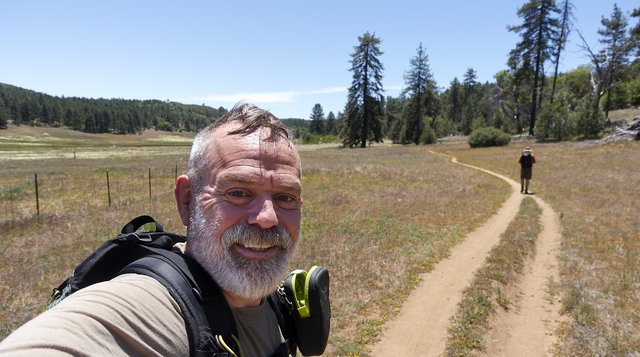 Walking along the meadow