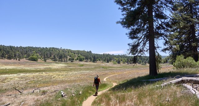 Walking upper Laguna meadow