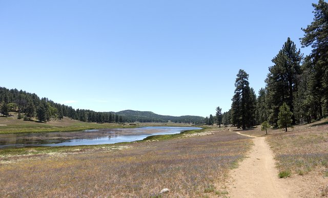 Big Laguna Lake