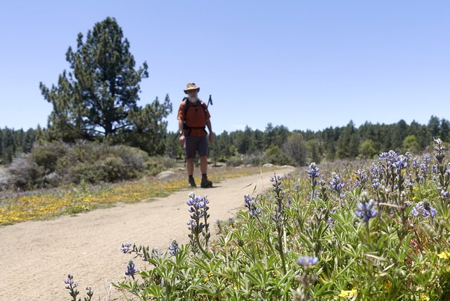 Waiting for more wildflower pictures