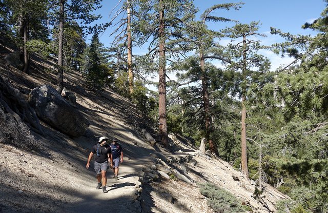 Up Devil's Slide