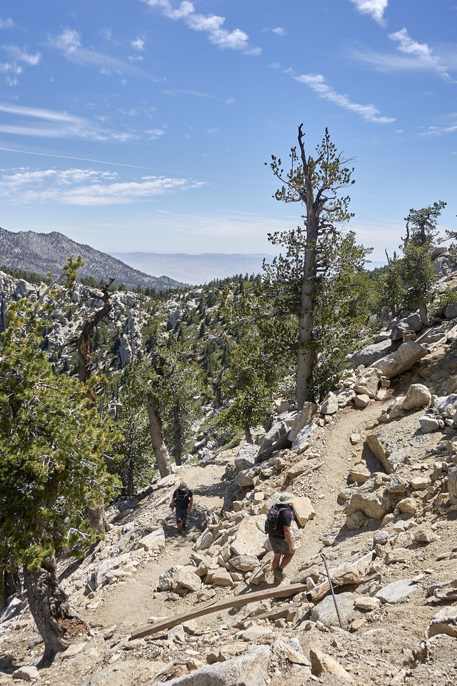 Switchbacks near the top