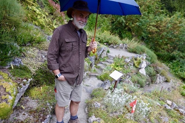 at the alpine garden in Champex-lac