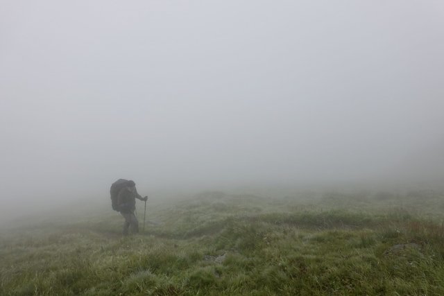 Misty walking