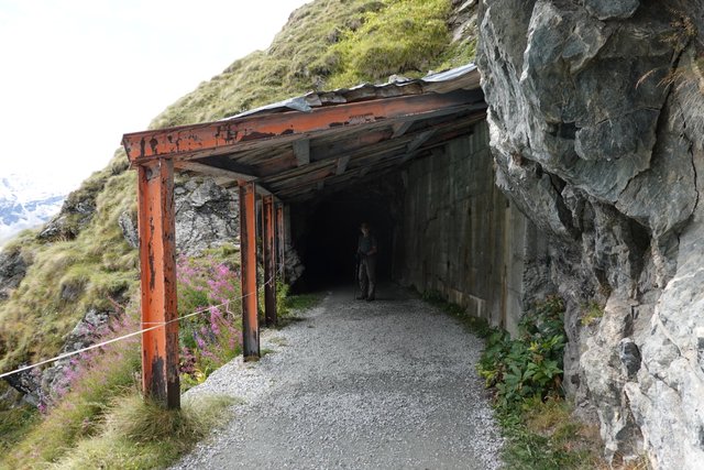 Nice they made tunnels for us walkers