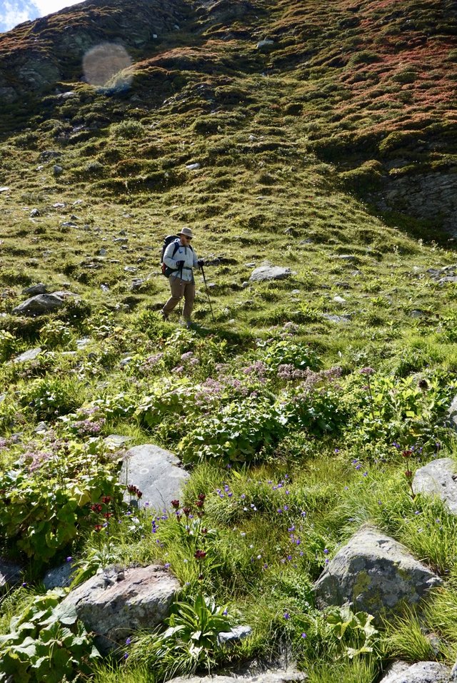 Down the grassy slopes