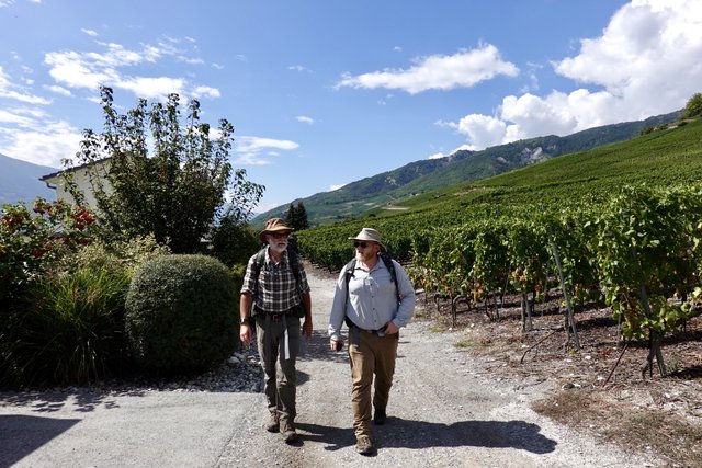 Chris and Craig through the vineyards