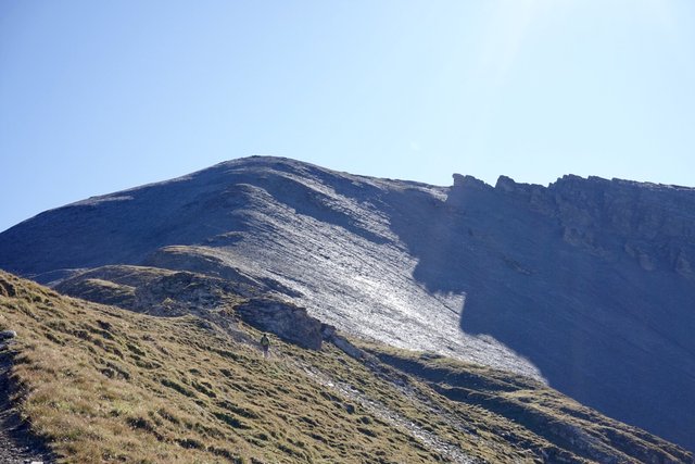 Up to the scree