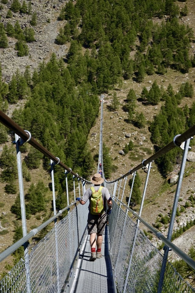 The hanging bridge