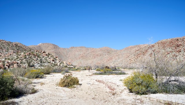 Starting out from Bow Willow Campground