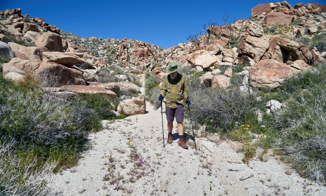 Gawking as we descend into Rockhouse Canyon